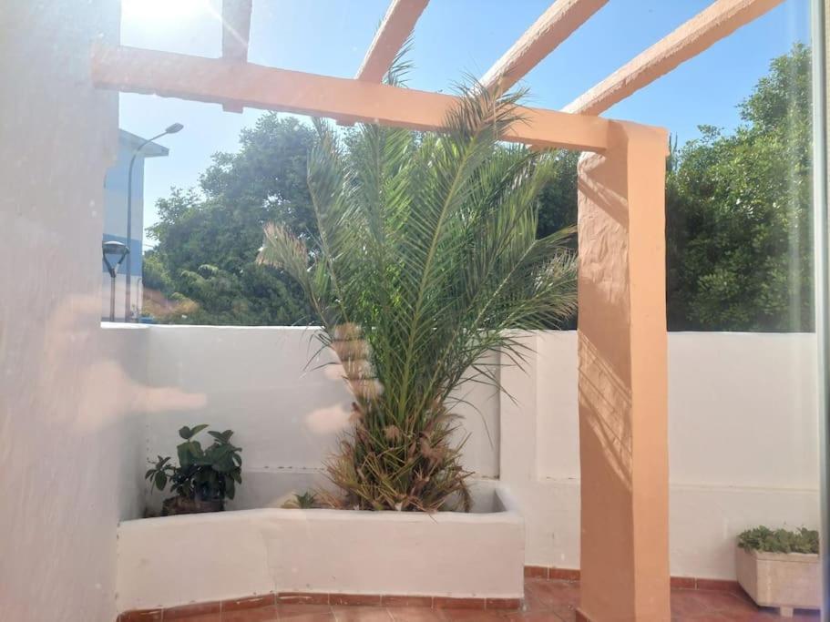 Piscina, Wifi, Patio Con Vistas Appartement Tarifa Buitenkant foto