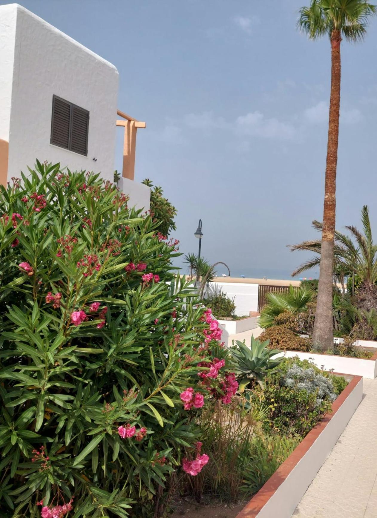 Piscina, Wifi, Patio Con Vistas Appartement Tarifa Buitenkant foto